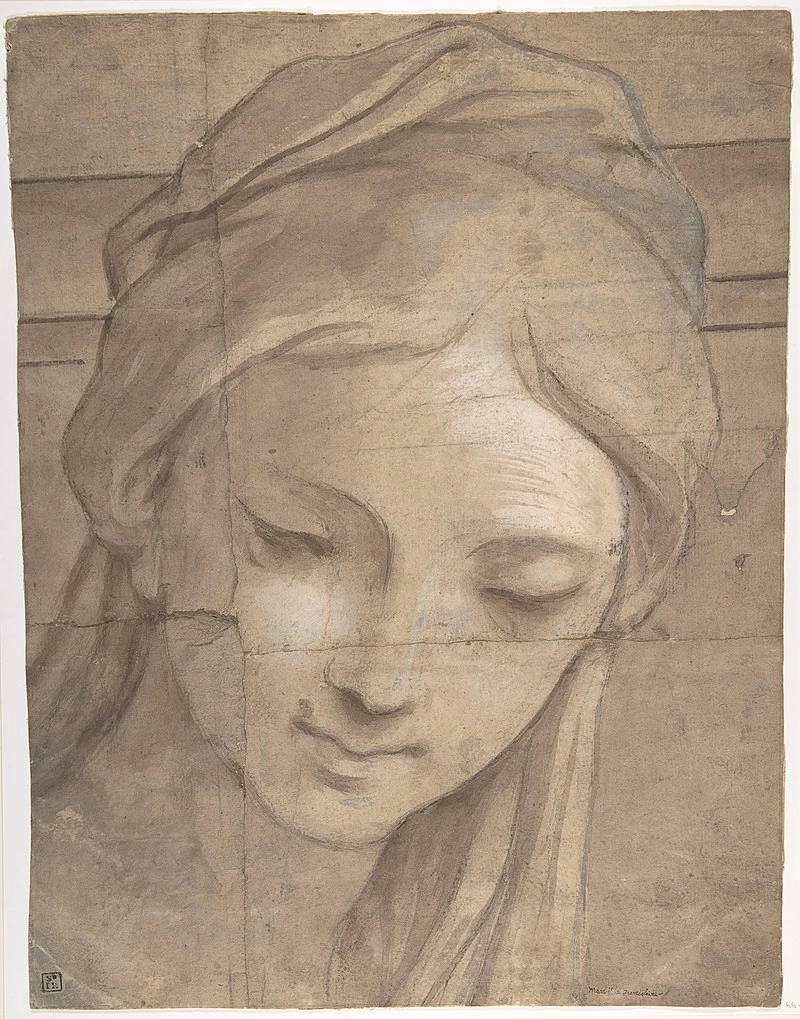 Disegno - Testa di donna, Museum of Art